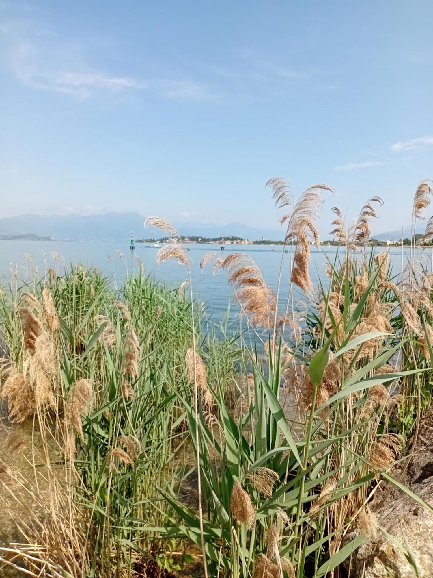 Miragarda Sirmione Διαμέρισμα Εξωτερικό φωτογραφία