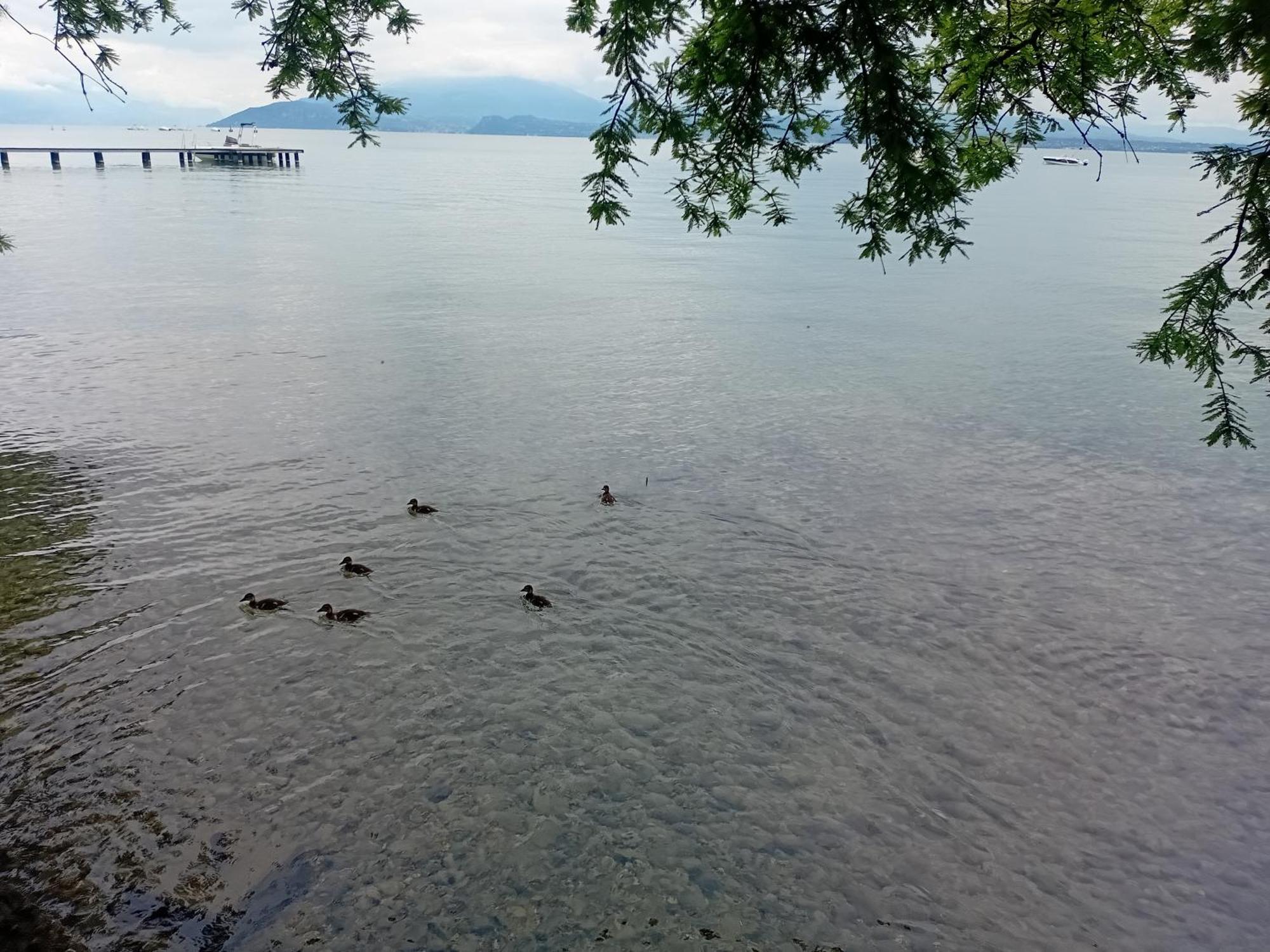 Miragarda Sirmione Διαμέρισμα Εξωτερικό φωτογραφία
